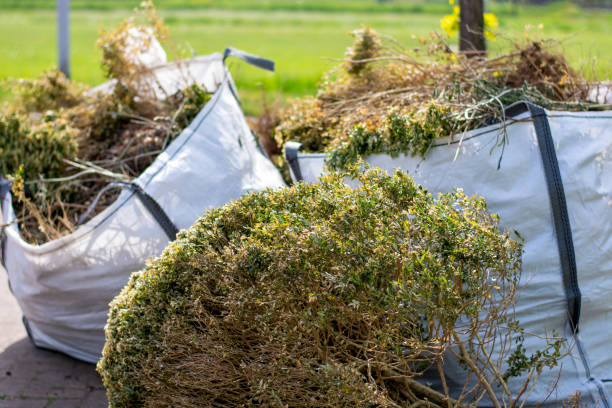 Best Moving and Downsizing Cleanouts  in Hardwick, GA